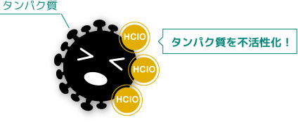 タンパク質を不活性化させる